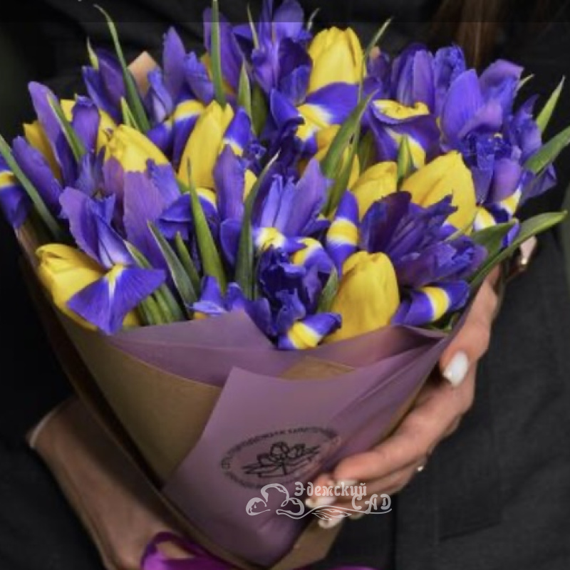 Голубая мечта