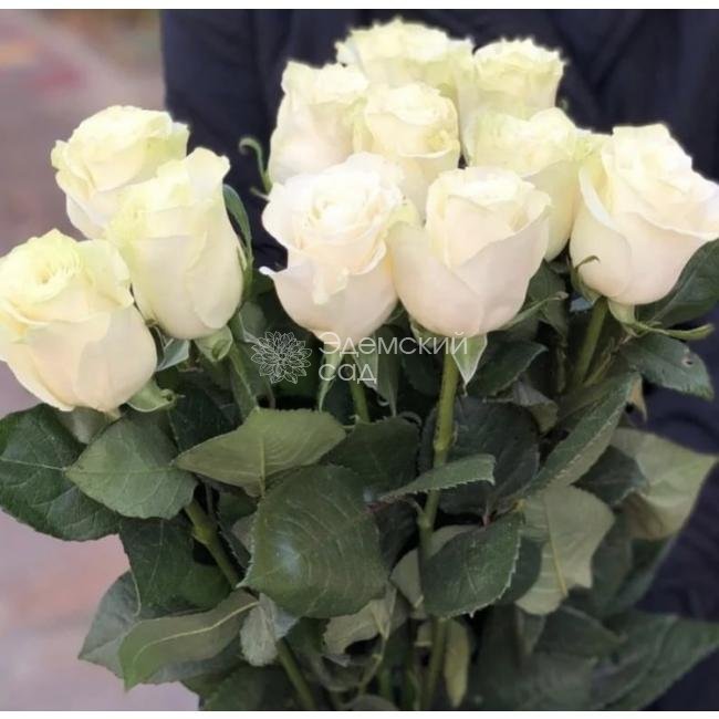 Купить Белые розы из каталога Белые розы в Норильске - «Эдемский сад»