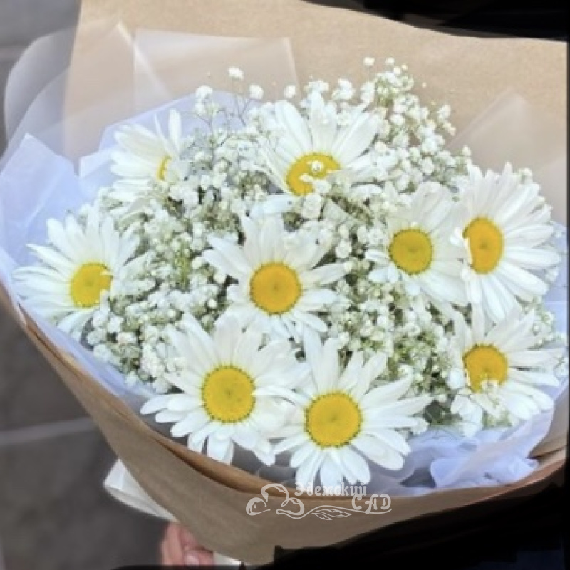 Букет с ромашками 1