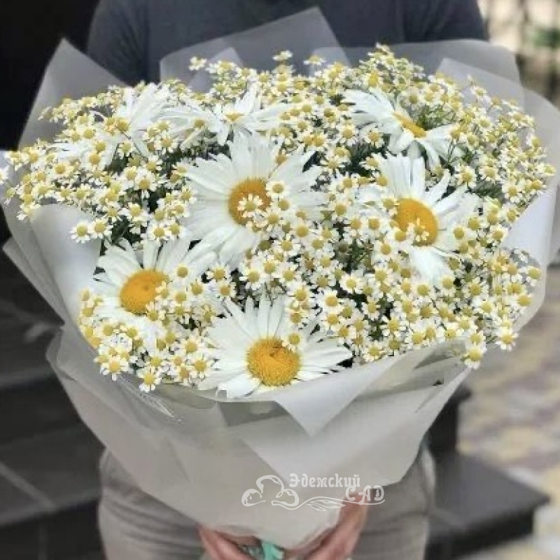 Летнее поле