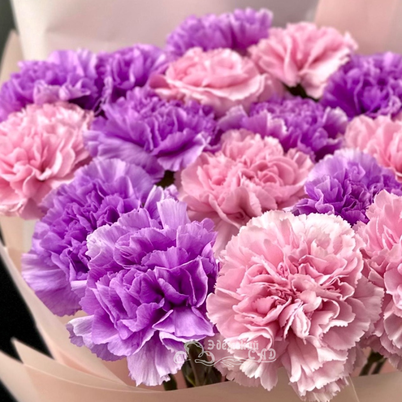 «Милашка» из 17 диантусов 3