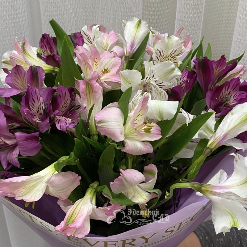 Букет из 9  альстромерий «Улыбка» 3