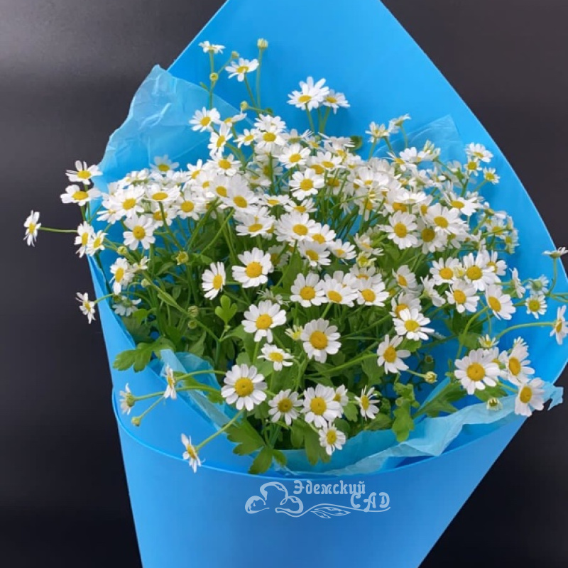 Лето в букете 3