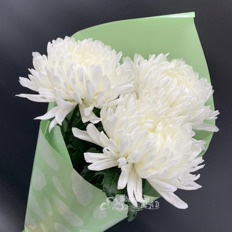 Звёздочка 2