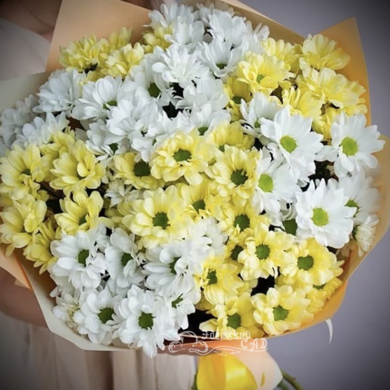 9 хризантем «Летний дар»