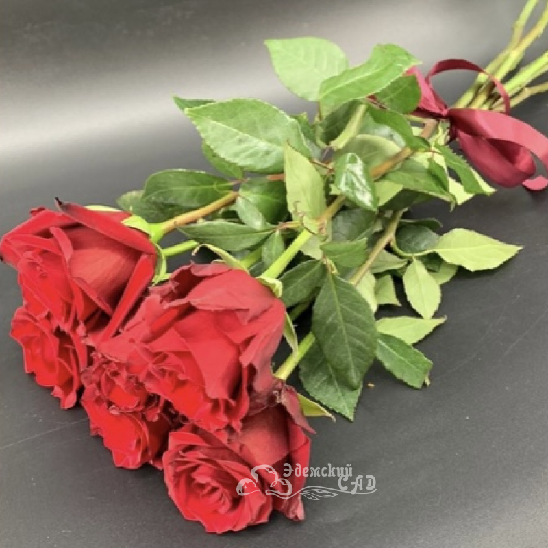 Аллые привет из 5 крупных роз 2