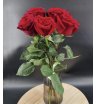 Аллые привет из 5 крупных роз 1