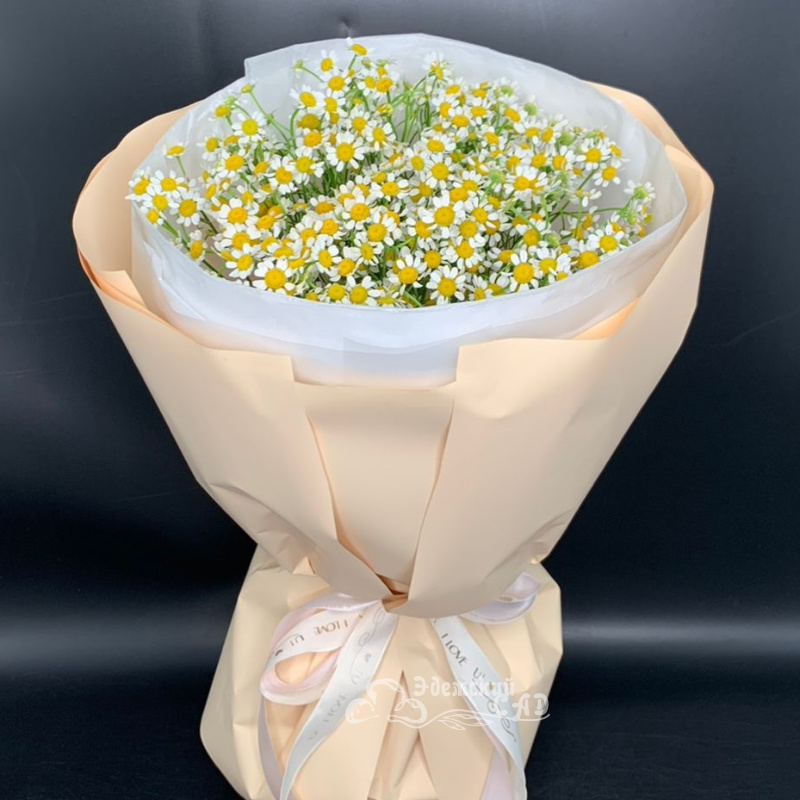 Ромашки милашки 1