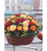 «Ода любви»
