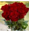Аллые  розы 9 шт не высокие