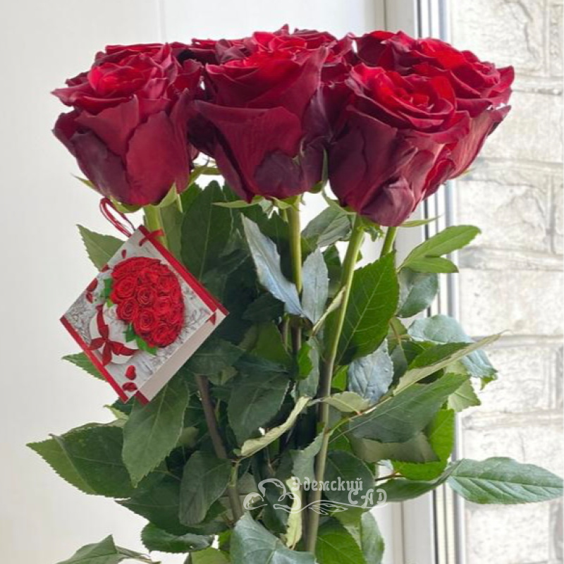 7 крупных роз "Силуэт"
