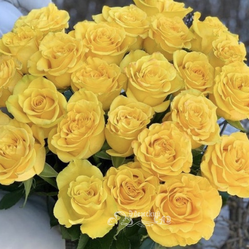 21 не крупных роз &laquo;Солнышко&raquo;