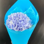 Моно