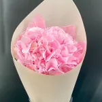 Моно