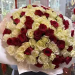 Каталог роз
