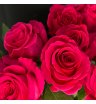 Малиновые розы поштучно 1