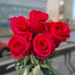 Каталог роз