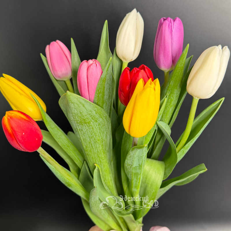 Букет королевских тюльпанов &laquo;Встречай весну&raquo; 1