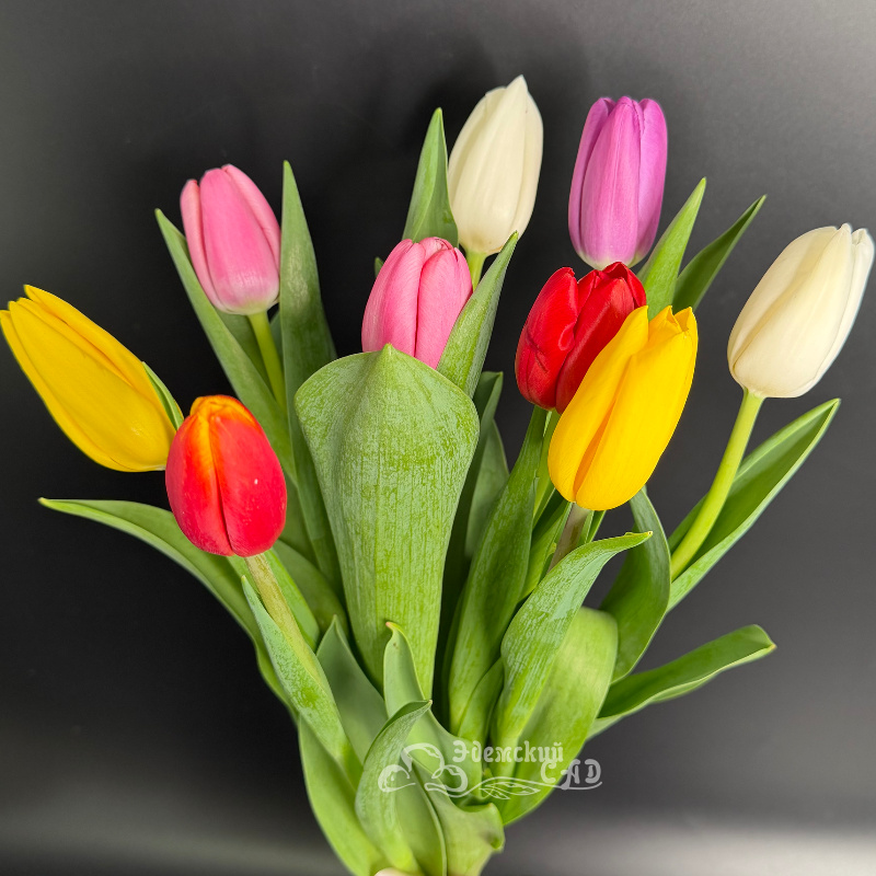 Букет королевских тюльпанов &laquo;Встречай весну&raquo;