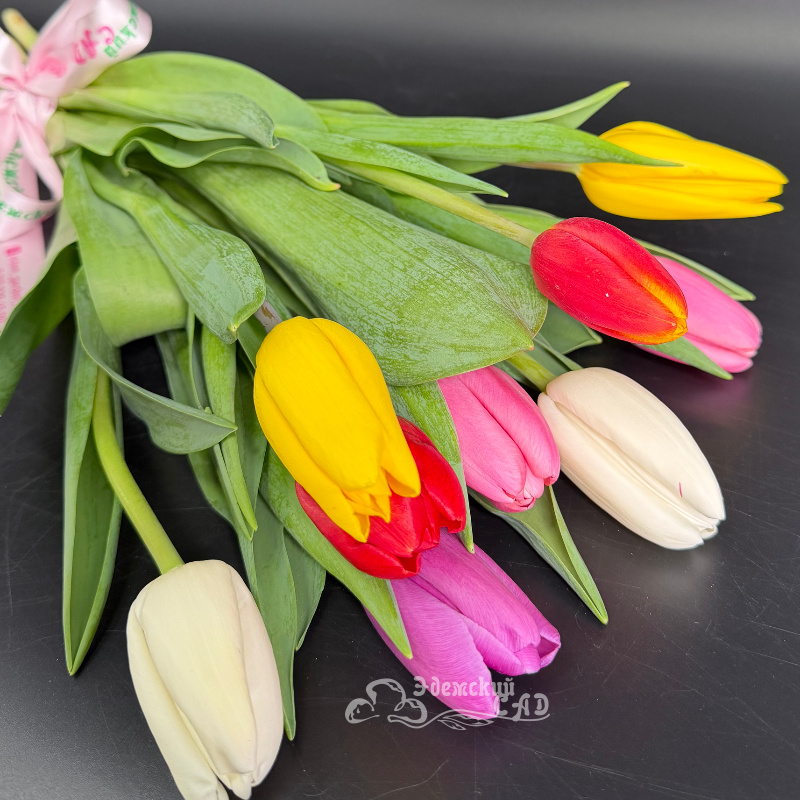 Букет королевских тюльпанов &laquo;Встречай весну&raquo; 3