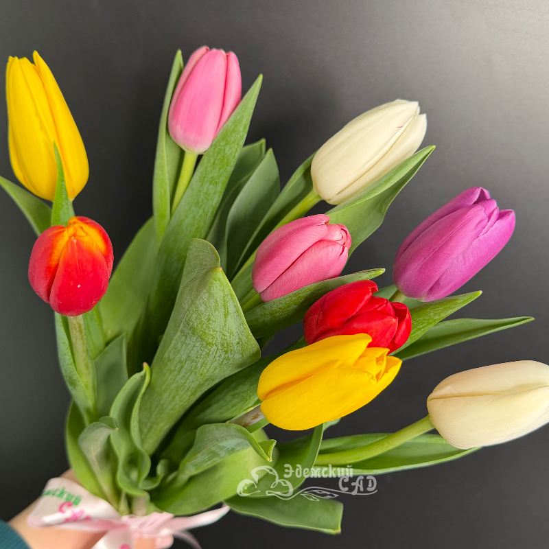 Букет королевских тюльпанов &laquo;Встречай весну&raquo; 2