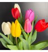 Яркие королевские тюльпаны 1