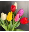 Яркие королевские тюльпаны 3