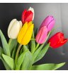 Яркие королевские тюльпаны 2