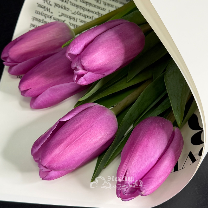 5 сиреневых тюльпанов 1