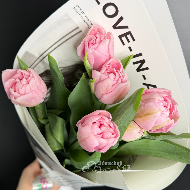 Пионовидные тюльпаны. Розовые