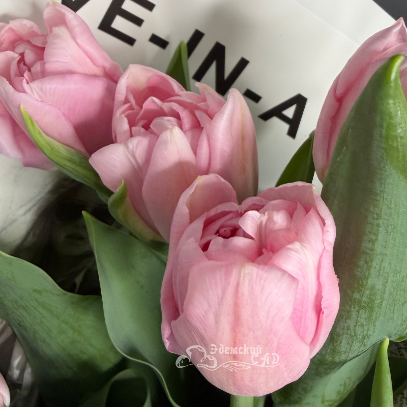 Пионовидные тюльпаны. Розовые 2