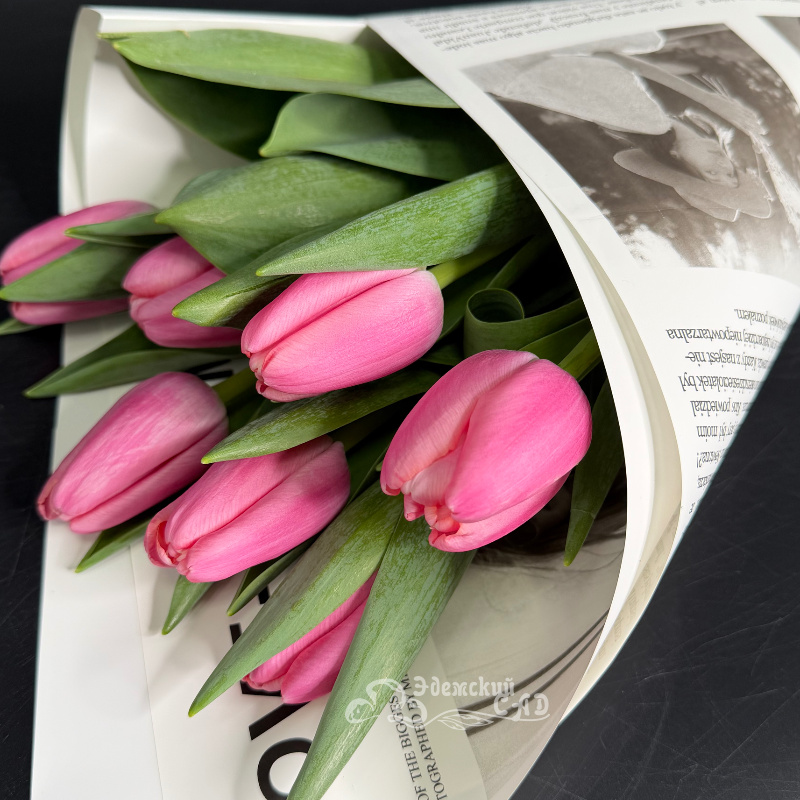 Королевские тюльпаны 3