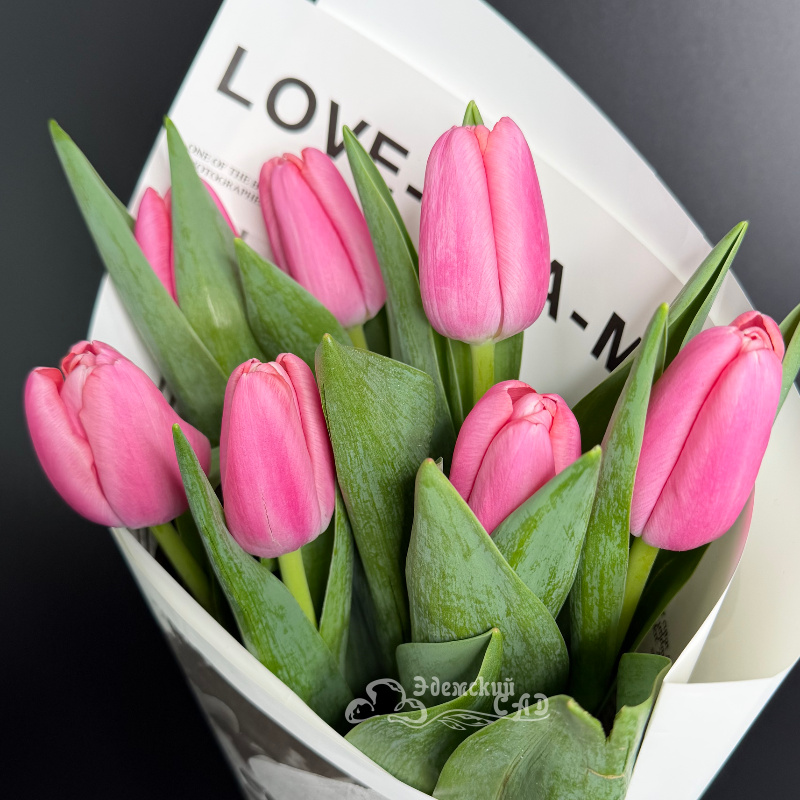 Королевские тюльпаны 2